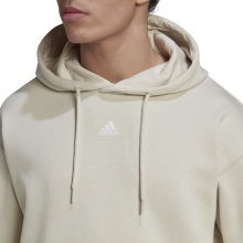 adidas Hoodie Essentials Feelvivid Cotton Aluminium Grey Men